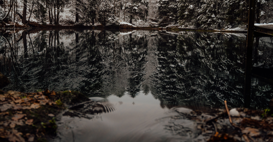 8 Literary Quotes To Make You Love Winter