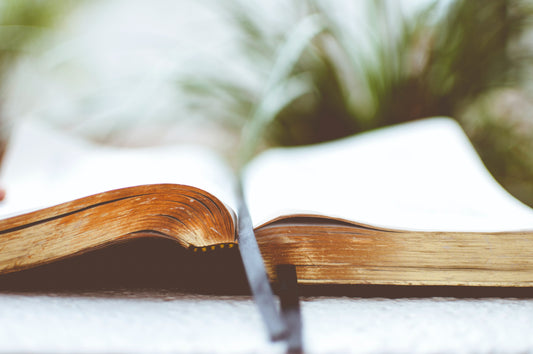 Book Subscription for Different Age Groups: Kids, Teens, Adults