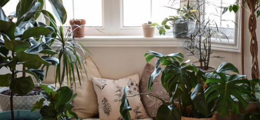 How to Set up the Perfect Reading Space?