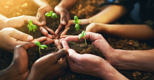 The Green Reader: Sustainable Book Subscription Options