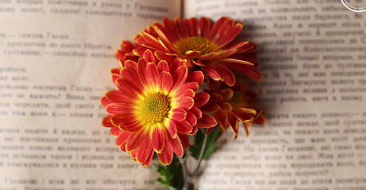 5 Signs You’re a True Book Lover