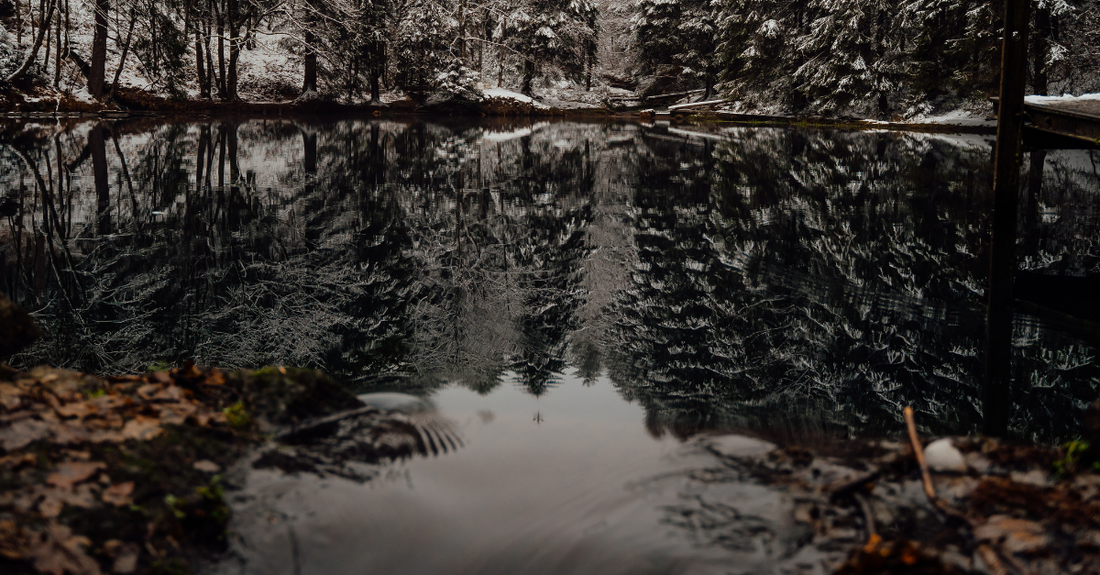 8 Literary Quotes To Make You Love Winter