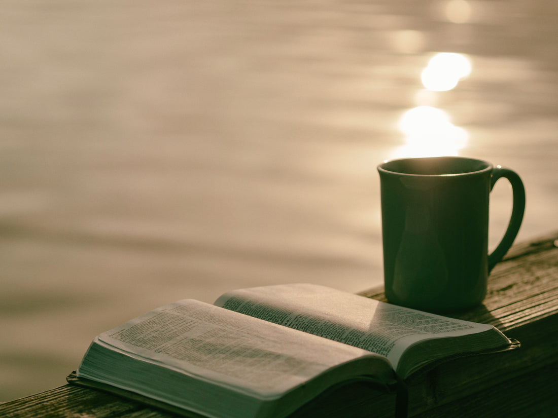 Are book subscription boxes worth it?