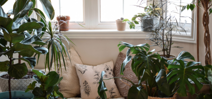 How to Set up the Perfect Reading Space?
